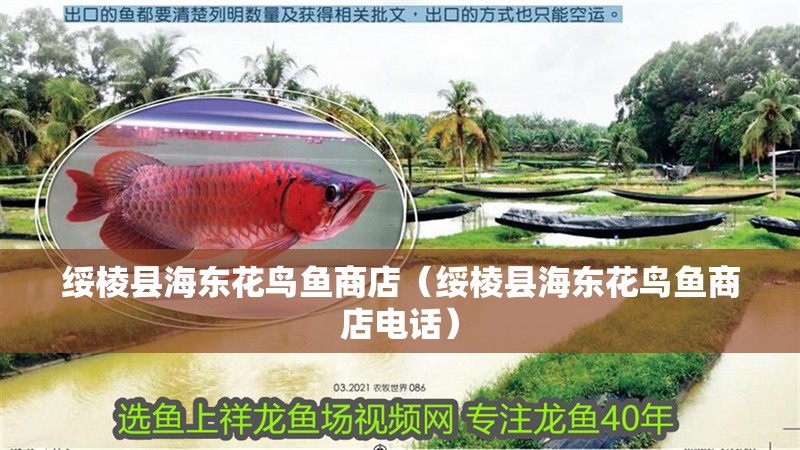 綏棱縣海東花鳥魚商店（綏棱縣海東花鳥魚商店電話）