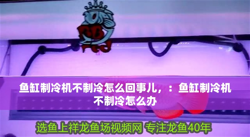 魚缸制冷機不制冷怎么回事兒，：魚缸制冷機不制冷怎么辦
