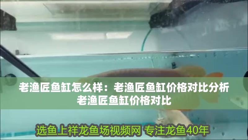 紅龍魚用黃燈烤有用嗎 老漁匠魚缸怎么樣:老漁匠魚缸價格對比分析老漁匠魚缸價格對比 魚缸百科 老漁匠魚缸怎么樣:老漁匠魚缸價格對比分析老漁匠魚缸價格對比 老漁匠魚缸怎么樣:老漁匠魚缸價格對比分析老漁匠魚缸價格對比 魚缸百科