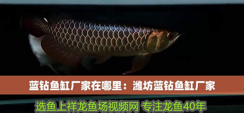 藍鉆魚缸廠家在哪里：濰坊藍鉆魚缸廠家