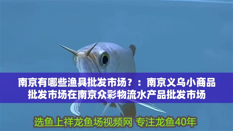 <strong><mark>南京</mark></strong>有哪些漁具批發(fā)市場？：<strong><mark>南京</mark></strong>義烏小商品批發(fā)市場在<strong><mark>南京</mark></strong>眾彩物流水產(chǎn)品批發(fā)市場