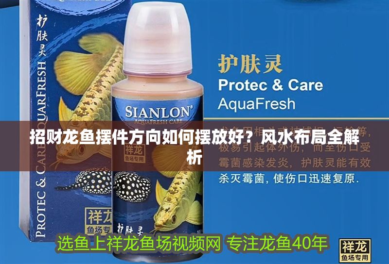 招財龍魚擺件方向如何擺放好？風水布局全解析