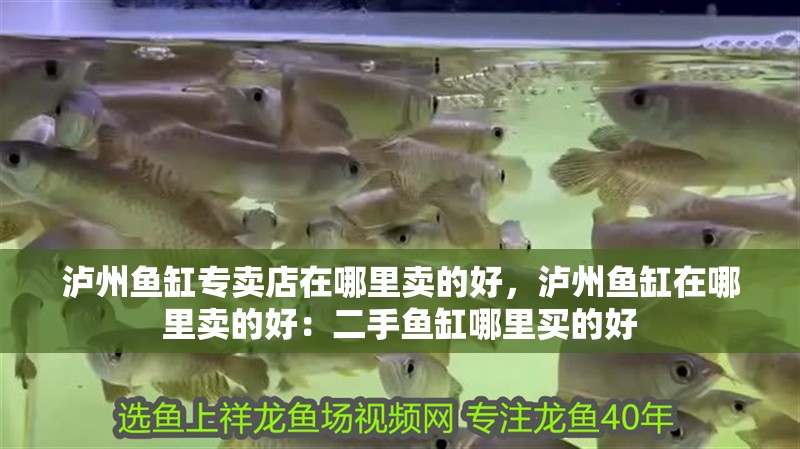 瀘州魚缸專賣店在哪里賣的好，瀘州魚缸在哪里賣的好：二手魚缸哪里買的好