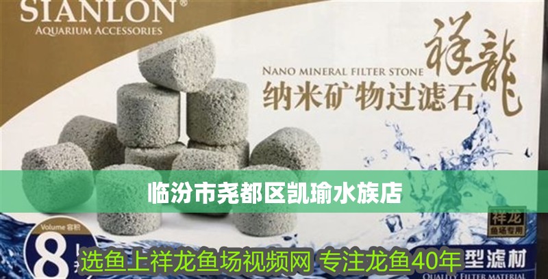 臨汾市堯都區凱瑜水族店