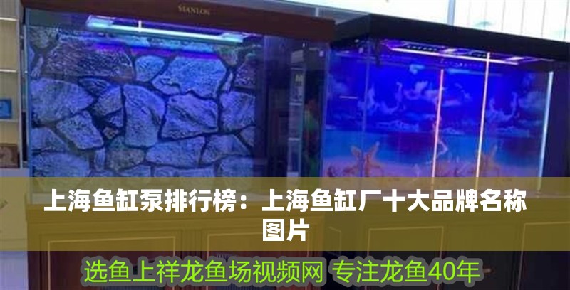 魚缸過濾器選購指南:自制魚缸過濾器魚缸上置過濾器對于養魚愛好者的必備知識 上海魚缸泵排行榜:上海魚缸廠十大品牌名稱圖片 魚缸百科 上海魚缸泵排行榜:上海魚缸廠十大品牌名稱圖片 上海魚缸泵排行榜:上海魚缸廠十大品牌名稱圖片 魚缸百科