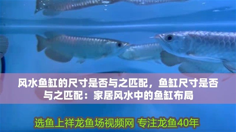 風水魚缸的尺寸是否與之匹配，魚缸尺寸是否與之匹配：家居風水中的魚缸布局