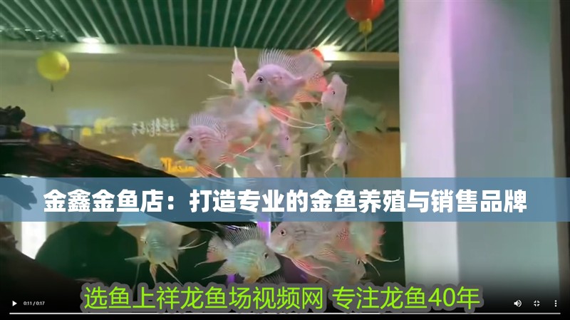 金鑫金魚店：打造專業的金魚養殖與銷售品牌 金鑫金魚店：打造專業的金魚養殖與銷售品牌 全國水族館企業名錄