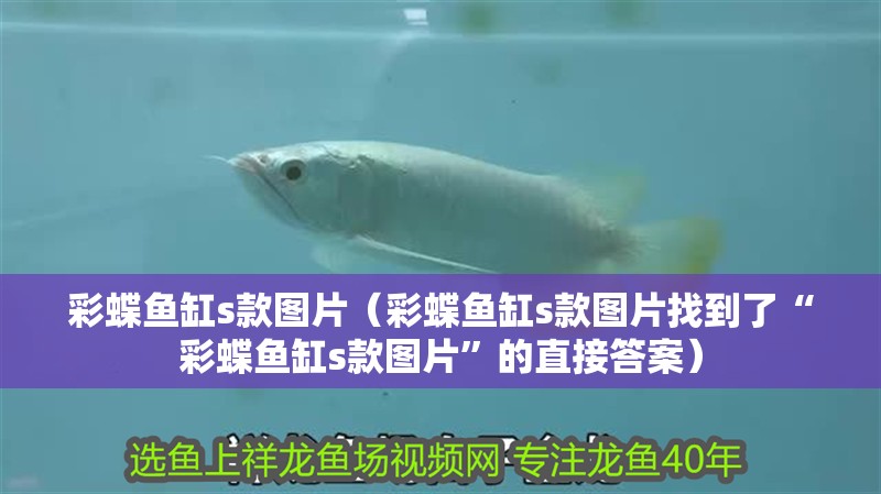 彩蝶魚缸s款圖片（彩蝶魚缸s款圖片找到了“彩蝶魚缸s款圖片”的直接答案）