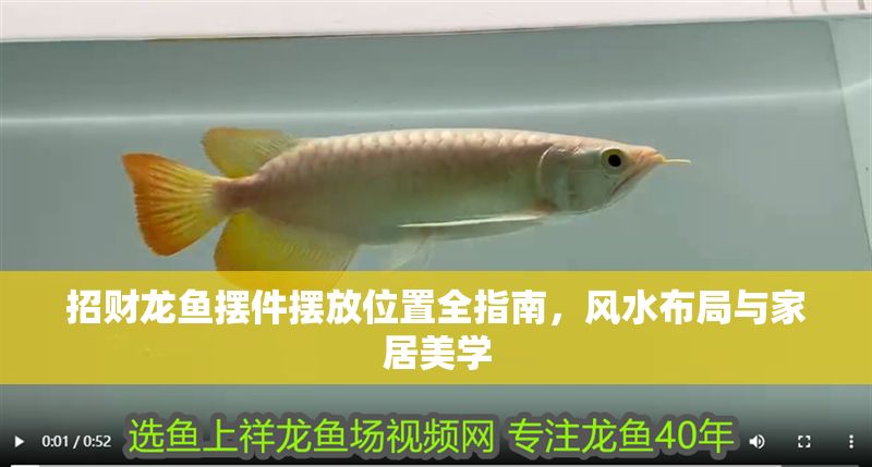 招財龍魚擺件擺放位置全指南，風水布局與家居美學