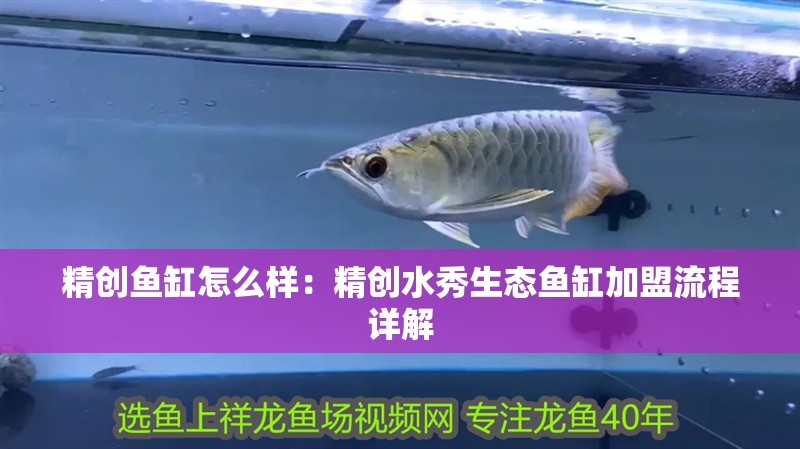 精創魚缸怎么樣：精創水秀生態魚缸加盟流程詳解