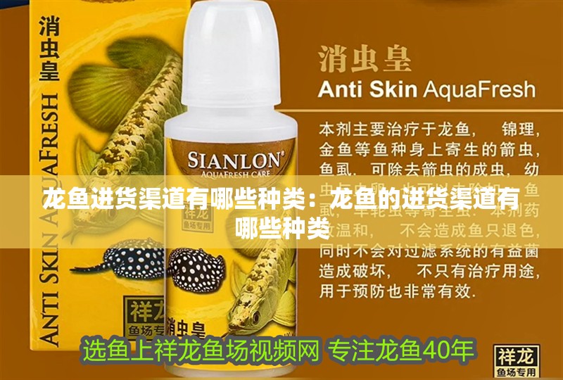 龍魚進(jìn)貨渠道有哪些種類：龍魚的進(jìn)貨渠道有哪些種類