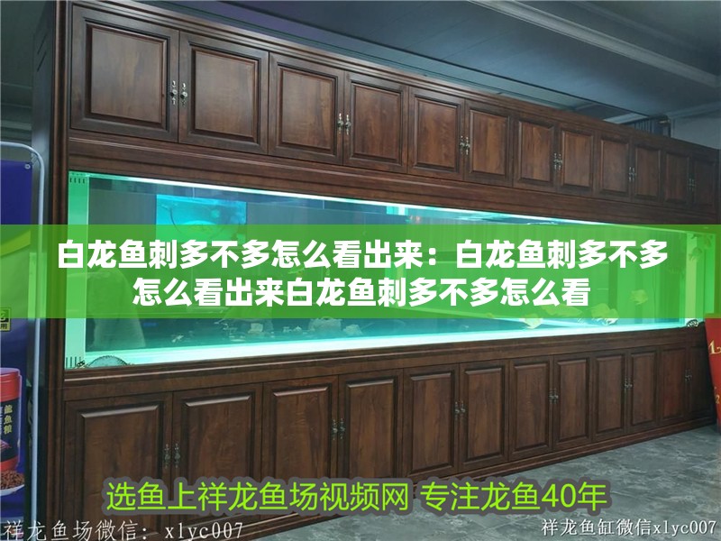 什么魚能和龍魚、虎魚混養(yǎng)(龍魚能和虎魚混養(yǎng)嗎) 白龍魚刺多不多怎么看出來:白龍魚刺多不多怎么看出來白龍魚刺多不多怎么看 龍魚百科 白龍魚刺多不多怎么看出來:白龍魚刺多不多怎么看出來白龍魚刺多不多怎么看 白龍魚刺多不多怎么看出來:白龍魚刺多不多怎么看出來白龍魚刺多不多怎么看 龍魚百科