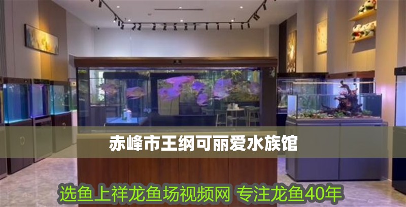 赤峰市王綱可麗愛水族館