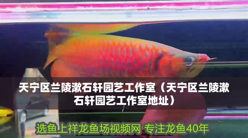 天寧區蘭陵漱石軒園藝工作室（天寧區蘭陵漱石軒園藝工作室地址）