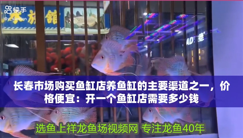 長春市場購買魚缸店養(yǎng)魚缸的主要渠道之一，價格便宜：開一個魚缸店需要多少錢