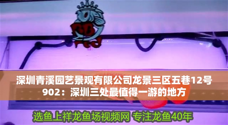 深圳青溪園藝景觀有限公司龍景三區五巷12號902：深圳三處最值得一游的地方
