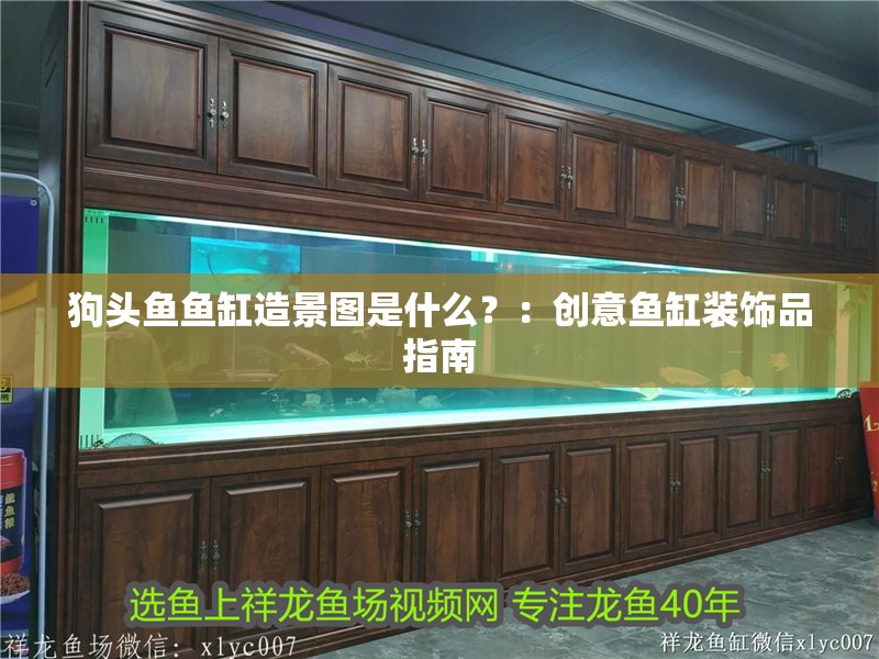 狗頭魚(yú)魚(yú)缸造景圖是什么？：創(chuàng)意魚(yú)缸裝飾品指南