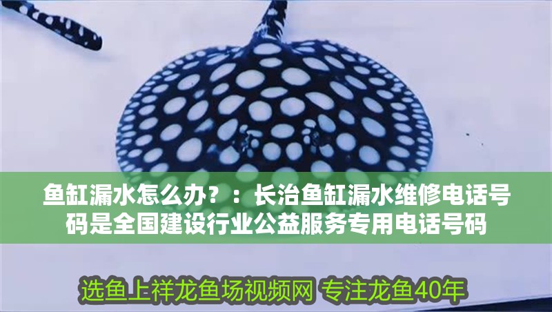 魚缸漏水怎么辦？：長治魚缸漏水維修電話號碼是全國建設(shè)行業(yè)公益服務(wù)專用電話號碼