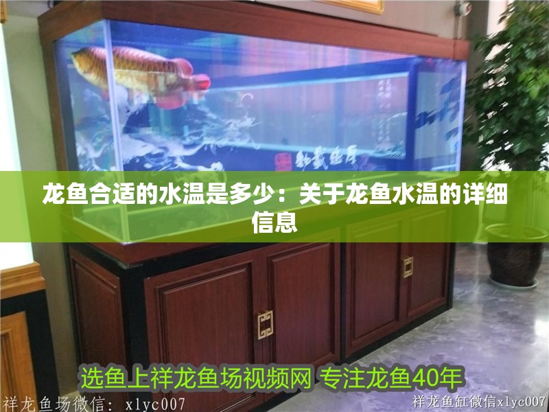 龍魚合適的水溫是多少：關于龍魚水溫的詳細信息