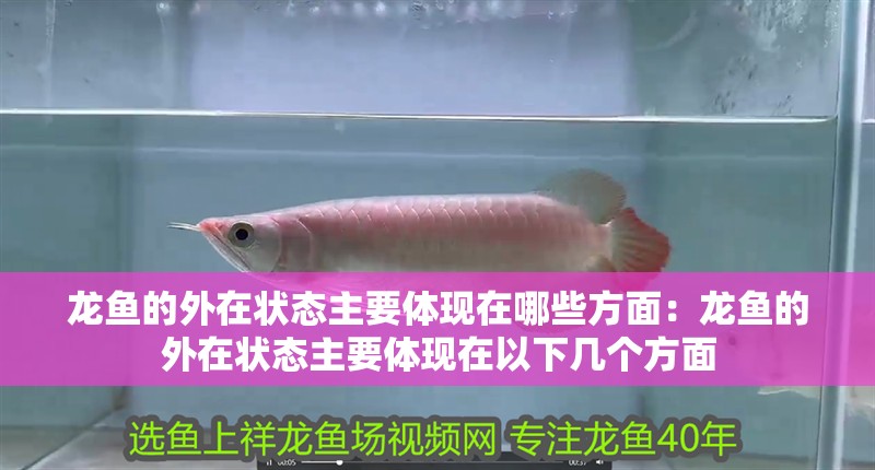 龍魚(yú)的外在狀態(tài)主要體現(xiàn)在哪些方面：龍魚(yú)的外在狀態(tài)主要體現(xiàn)在以下幾個(gè)方面