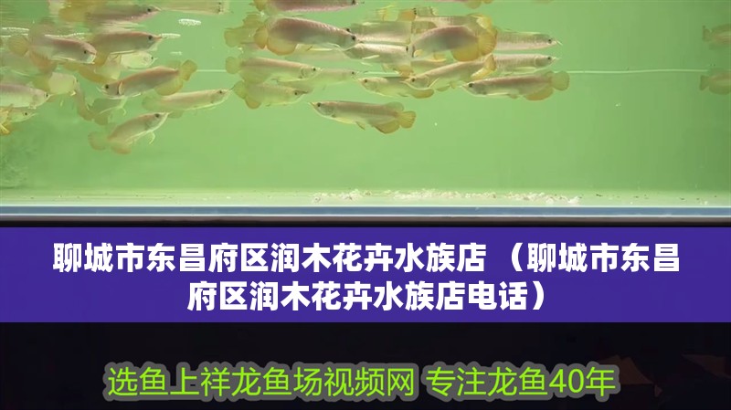 聊城市東昌府區潤木花卉水族店 （聊城市東昌府區潤木花卉水族店電話）