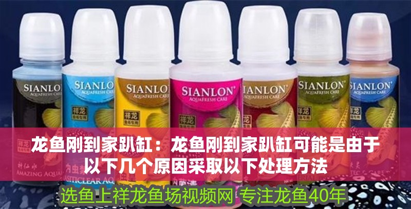 龍魚剛到家趴缸：龍魚剛到家趴缸可能是由于以下幾個(gè)原因采取以下處理方法