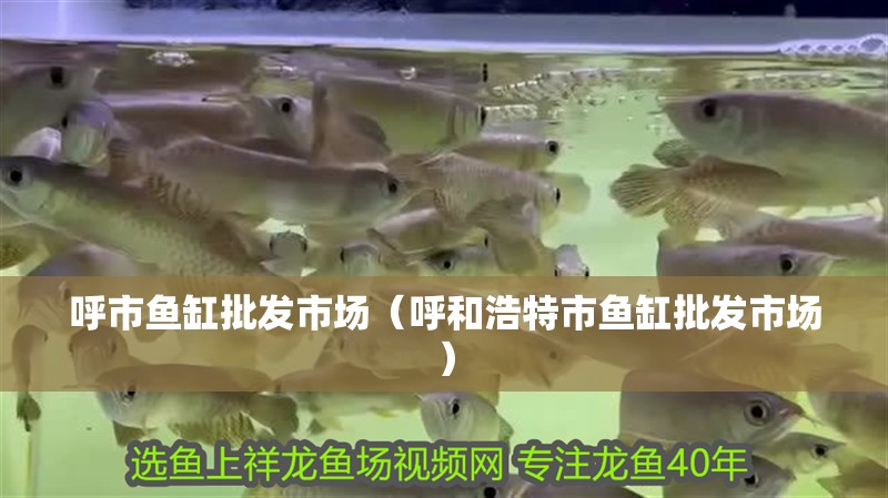 呼市魚(yú)缸批發(fā)市場(chǎng)（呼和浩特市魚(yú)缸批發(fā)市場(chǎng)）