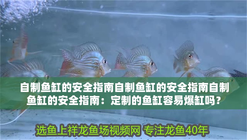 自制魚缸的安全指南自制魚缸的安全指南自制魚缸的安全指南：定制的魚缸容易爆缸嗎？