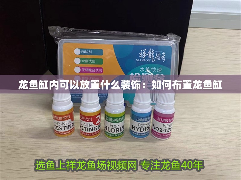 龍魚(yú)缸內(nèi)可以放置什么裝飾：如何布置龍魚(yú)缸