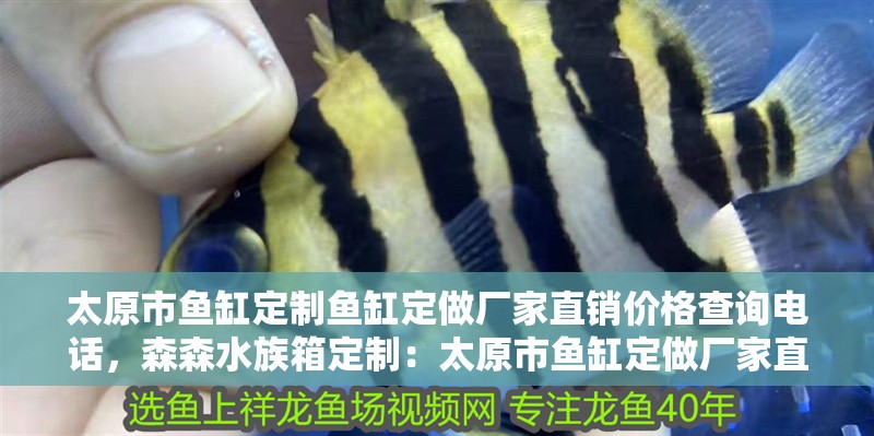 太原市魚缸定制魚缸定做廠家直銷價格查詢電話，森森水族箱定制：太原市魚缸定做廠家直銷價格