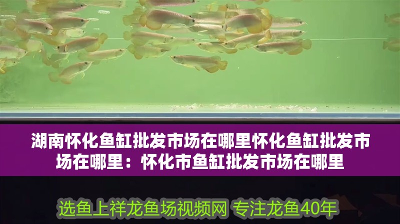 湖南懷化魚缸批發市場在哪里懷化魚缸批發市場在哪里：懷化市魚缸批發市場在哪里