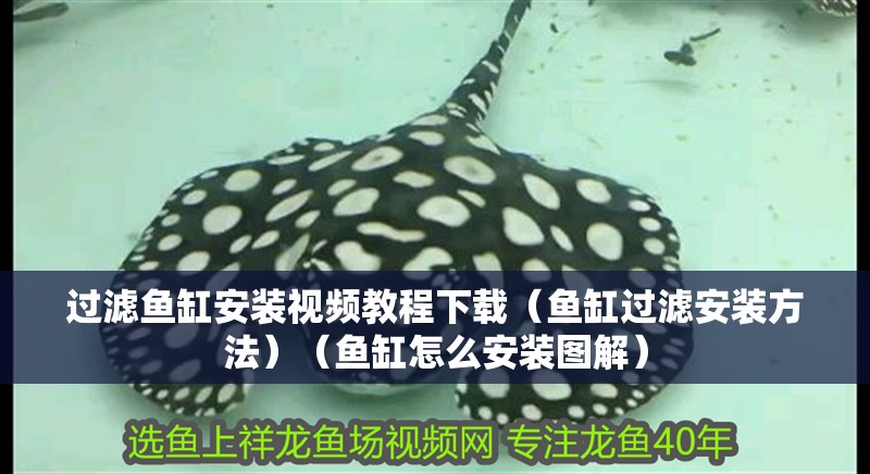 過濾魚缸安裝視頻教程下載（魚缸過濾安裝方法）（魚缸怎么安裝圖解）