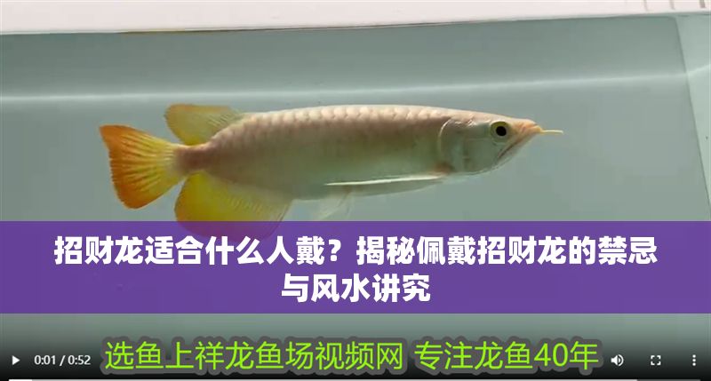 招財龍適合什么人戴？揭秘佩戴招財龍的禁忌與風水講究