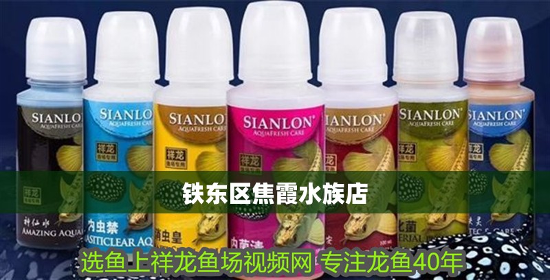鐵東區(qū)焦霞水族店