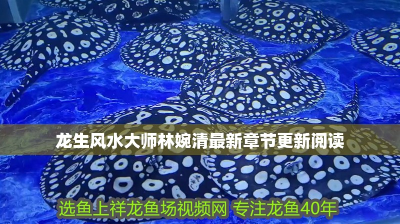 龍生風水大師林婉清最新章節更新閱讀