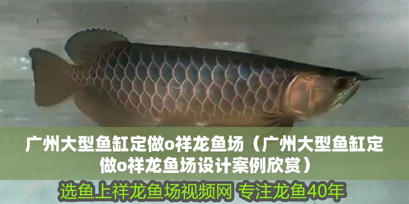 廣州大型魚缸定做o祥龍魚場（廣州大型魚缸定做o祥龍魚場設計案例欣賞）