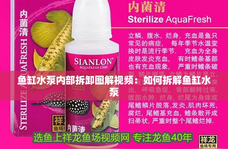 魚缸水泵內(nèi)部拆卸圖解視頻：如何拆解魚缸水泵