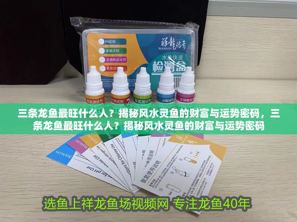 三條龍魚最旺什么人？揭秘風(fēng)水靈魚的財富與運勢密碼，三條龍魚最旺什么人？揭秘風(fēng)水靈魚的財富與運勢密碼