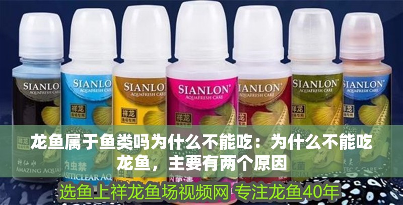 龍魚屬于魚類嗎為什么不能吃：為什么不能吃龍魚，主要有兩個原因 龍魚屬于魚類嗎為什么不能吃：為什么不能吃龍魚，主要有兩個原因 龍魚百科