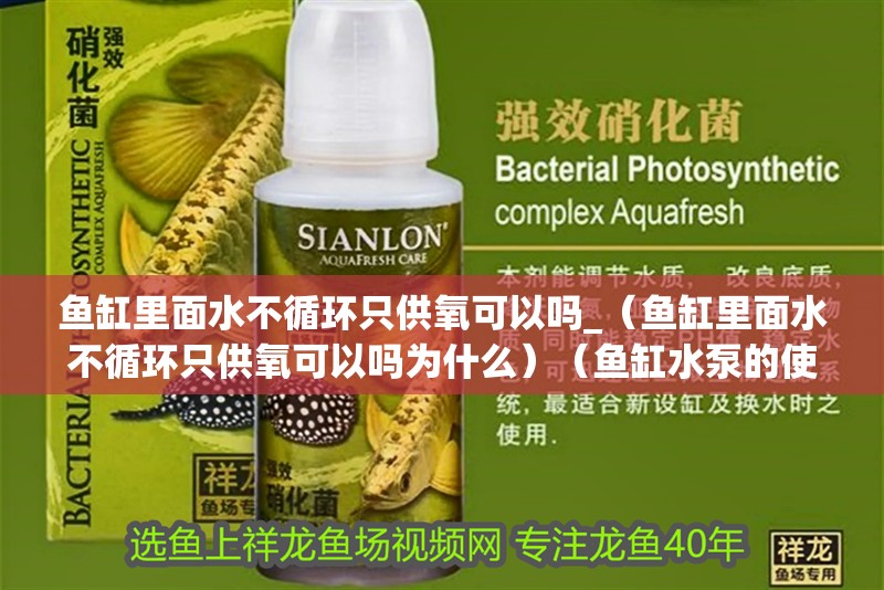魚缸里面水不循環(huán)只供氧可以嗎_（魚缸里面水不循環(huán)只供氧可以嗎為什么）（魚缸水泵的使用方法）