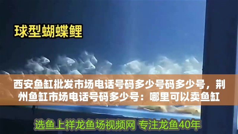 西安魚缸批發市場電話號碼多少號碼多少號，荊州魚缸市場電話號碼多少號：哪里可以賣魚缸？