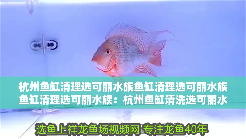 魚缸用增氧泵價格是多少:魚缸增氧機-xtrac增氧機-xtrac增氧機 杭州魚缸清理選可麗水族魚缸清理選可麗水族魚缸清理選可麗水族:杭州魚缸清洗選可麗水族最佳 魚缸百科 杭州魚缸清理選可麗水族魚缸清理選可麗水族魚缸清理選可麗水族:杭州魚缸清洗選可麗水族最佳 杭州魚缸清理選可麗水族魚缸清理選可麗水族魚缸清理選可麗水族:杭州魚缸清洗選可麗水族最佳 魚缸百科