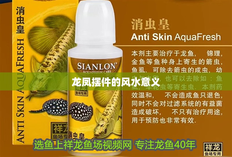 龍鳳擺件的風水意義