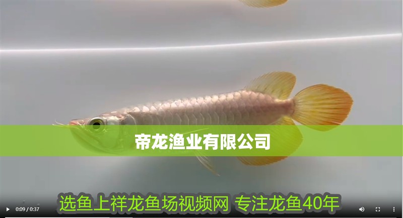 帝龍漁業有限公司