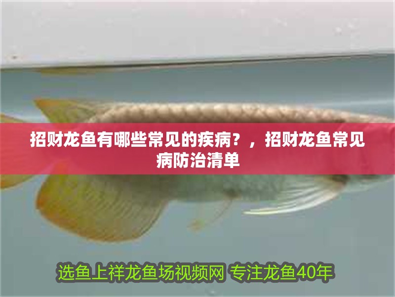 招財龍魚有哪些常見的疾病？，招財龍魚常見病防治清單 招財龍魚有哪些常見的疾病？，招財龍魚常見病防治清單 龍魚百科