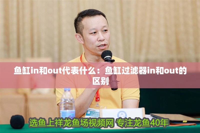 魚缸in和out代表什么：魚缸過濾器in和out的區(qū)別 魚缸in和out代表什么：魚缸過濾器in和out的區(qū)別 魚缸百科