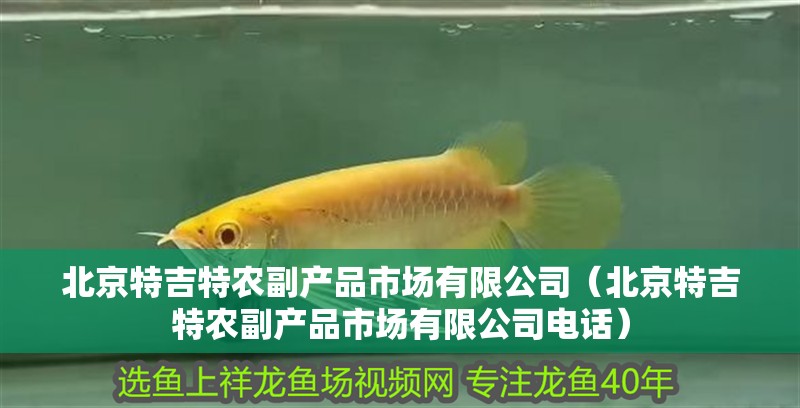 <strong><mark>北京</mark></strong>特吉特農副產品市場有限公司（<strong><mark>北京</mark></strong>特吉特農副產品市場有限公司電話）