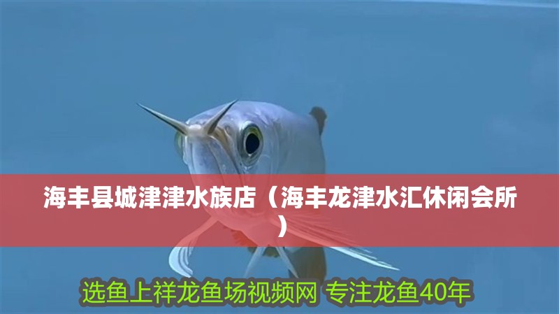 海豐縣城津津水族店（海豐龍津水匯休閑會(huì)所）