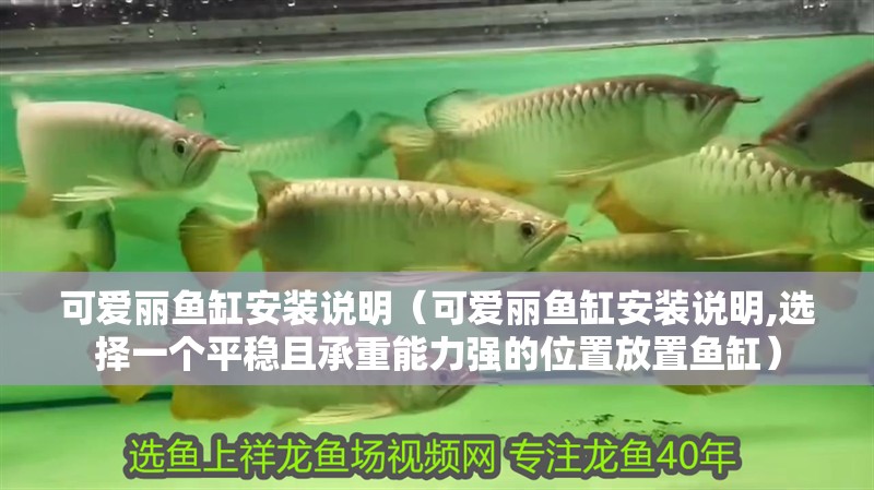 可愛麗魚缸安裝說明（可愛麗魚缸安裝說明,選擇一個平穩(wěn)且承重能力強的位置放置魚缸）