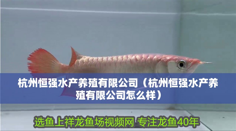 <strong><mark>杭州</mark></strong>恒強水產養殖有限公司（<strong><mark>杭州</mark></strong>恒強水產養殖有限公司怎么樣）